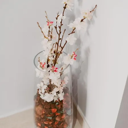 Dimora L'etual Бари